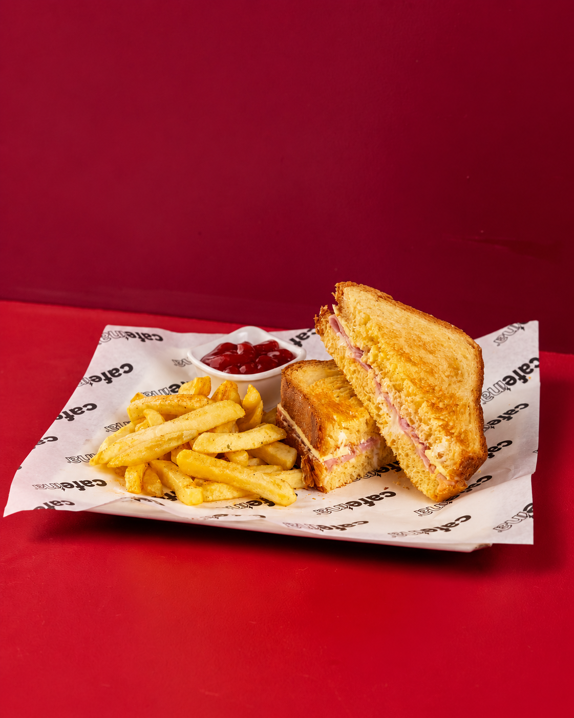 S&aacute;ndwich acompa&ntilde;ado de papas fritas